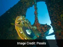 150-Year-Old Shipwreck That Killed Eight People Found At The Bottom Of US Lake