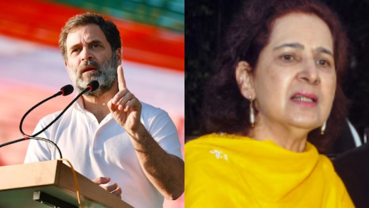"You Don't Deserve That Chair": Navjot Kaur Sidhu Hits Out At Rahul Gandhi