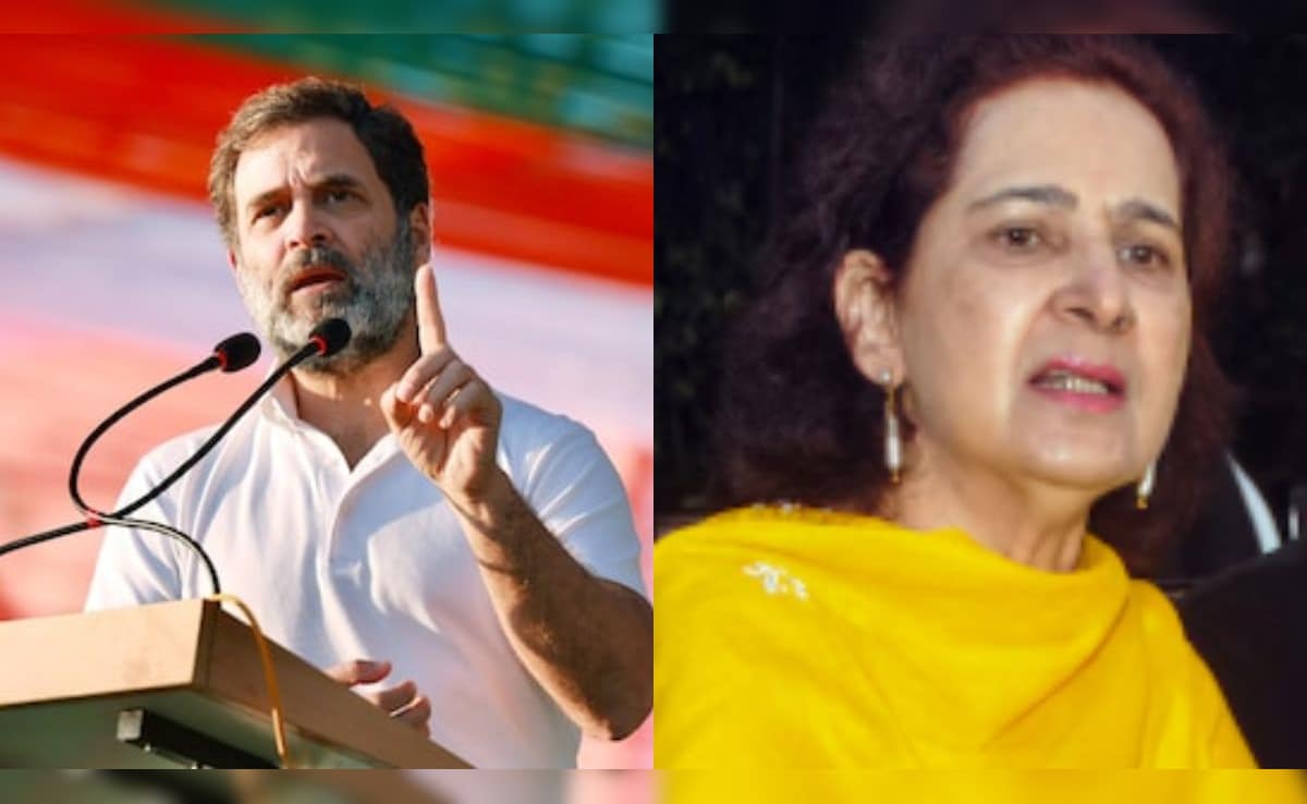 "You Don't Deserve That Chair": Navjot Kaur Sidhu Hits Out At Rahul Gandhi