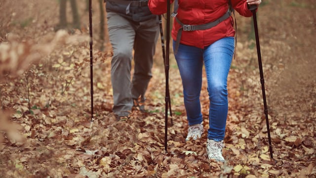 Nordic walking poles are different from hiking poles.
