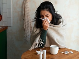 Nipah Virus Vs Bird Flu In India: Which Viral Infection Is Deadlier For Humans?