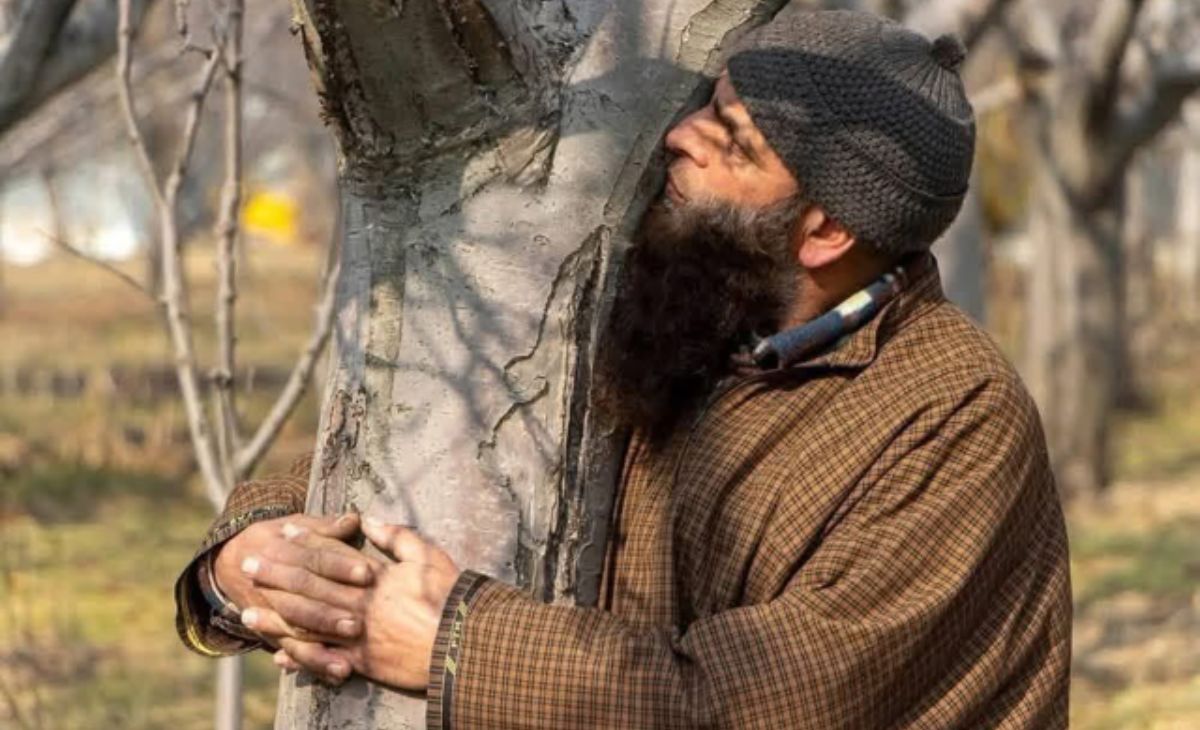 Railways Halts 3 Rail Projects To Protect Apple Orchards In Kashmir