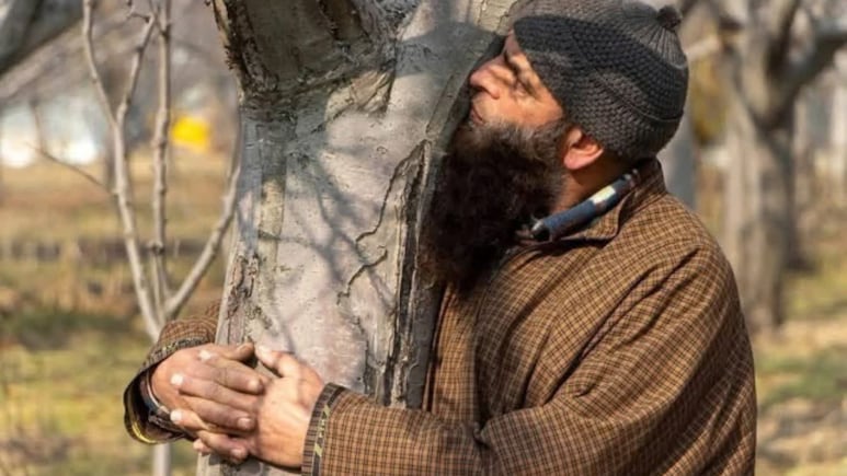 Railways Halts 3 Rail Projects To Protect Apple Orchards In Kashmir