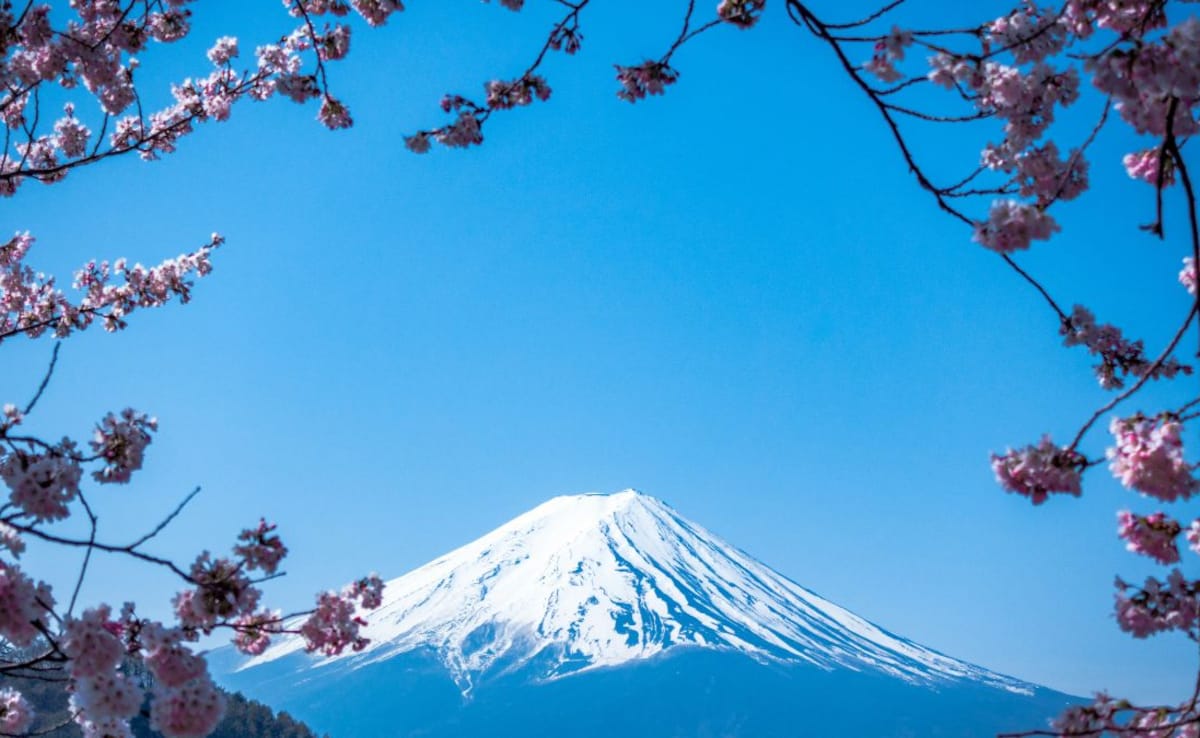 Cherry blossoms are an integral part of Japans cultural identity and heritage. Photo: Unsplash