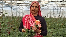 Success Story: गुलाब से महकी मधुबाला की जिंदगी, पॉलीहाउस तकनीक से कमा रही 12 लाख रुपए