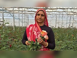 Success Story: गुलाब से महकी मधुबाला की जिंदगी, इस तकनीक से कमा रही 12 लाख रुपए