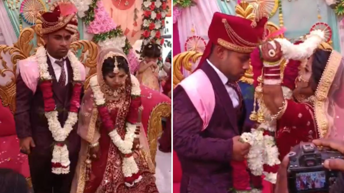 3 फीट का दूल्हा, 2 फीट 7 इंच की दुल्हन... कहां हुई ये अनोखी शादी? वायरल हो रहा है वीडियो