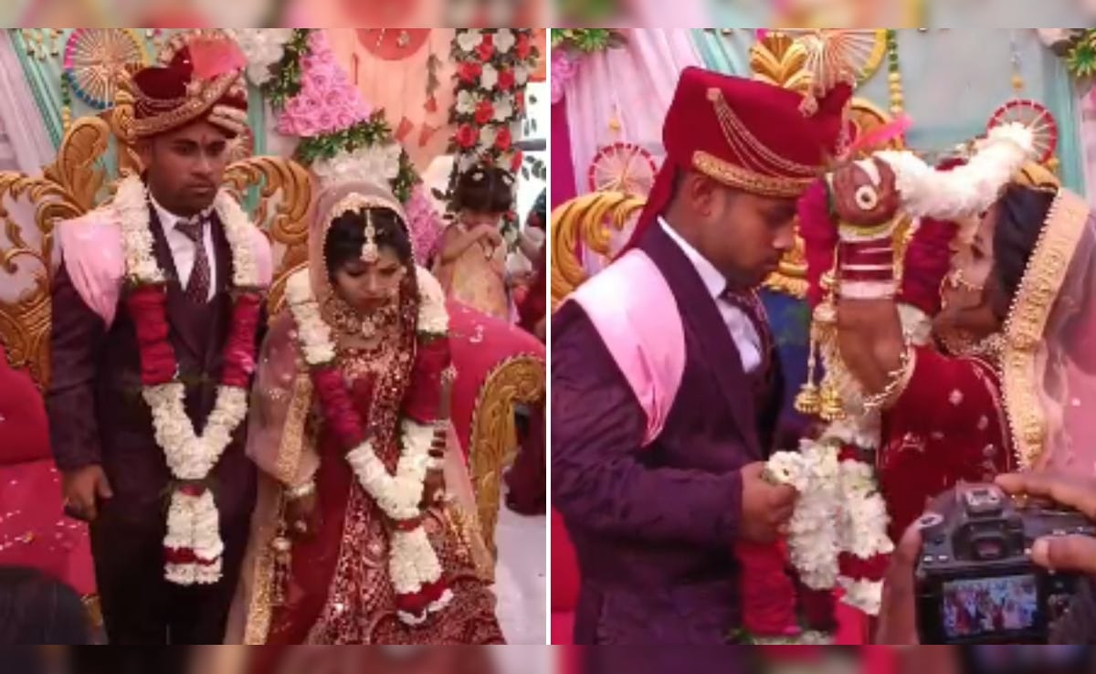 3 फीट का दूल्हा, 2 फीट 7 इंच की दुल्हन... कहां हुई ये अनोखी शादी? वायरल हो रहा है वीडियो