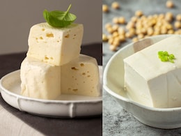 Paneer Vs. Tofu: Which Is A Richer Source Of Protein?