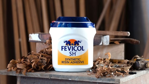 Pidilite Expects Export Rebound After Indo-US Tariff Revision, Double-Digit Volume Growth In FY27