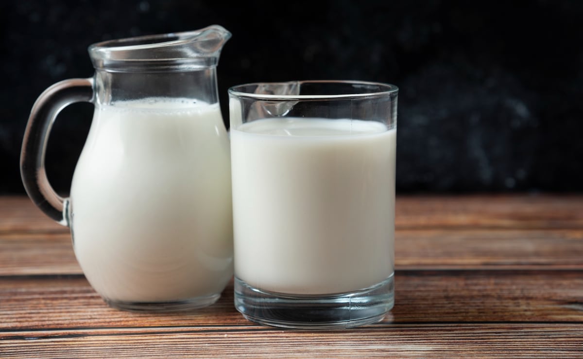 Adulterated Milk Racket Exposed In Junagadh: Detergent Found In Milk Tanker While Officials Delay Action