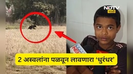 Trending News: पळाला नाही तर नडला! घनदाट जंगलात 13 वर्षाचा प्रभात 2 अस्वलांना भीडला, 4 मिनिटांचा थरार