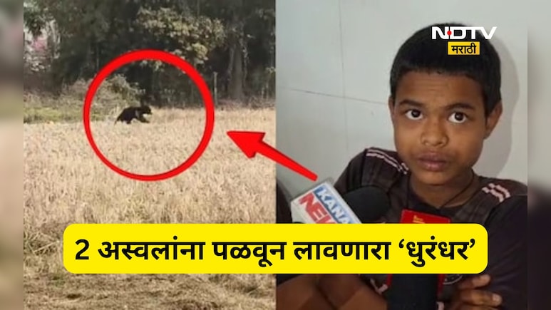 Trending News: पळाला नाही तर नडला! घनदाट जंगलात 13 वर्षाचा प्रभात 2 अस्वलांना भीडला, 4 मिनिटांचा थरार