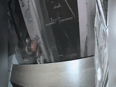 दूध लेने गया था युवक… नशे में धुत स्कॉर्पियो सवारों ने दुकान में घुसकर कुचला, CCTV में कैद हुई घटना