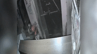 दूध लेने गया था युवक&hellip; नशे में धुत स्कॉर्पियो सवारों ने दुकान में घुसकर कुचला, CCTV में कैद हुई घटना