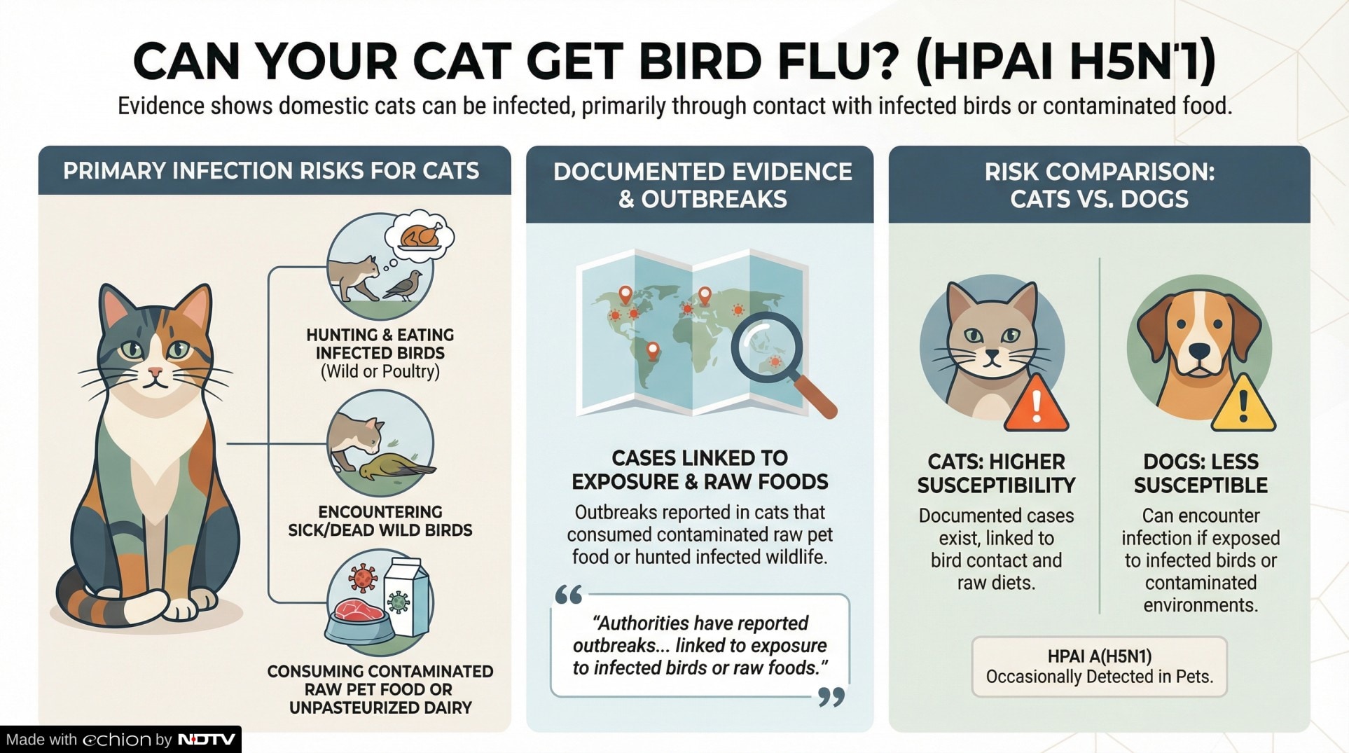 Latest and Breaking News on NDTV Latest and Breaking News on NDTV