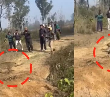 नाद करा पण कुणाचा, पिसाळलेला बिबट्या झेपावताच गार्ड थरथरला अन् पुढे..खतरनाक व्हिडीओ पाहिलात का?