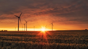 ACME Solar Shares Jump After Raising Rs 2800 crore through QIP; Seen 65% Surge In Six Months