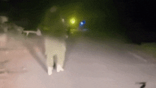 ये है असली मर्दानी, लूटने आए बदमाश तो निकाल ली तलवार, सड़क पर लुटेरों को ललकारा, वीडियो सामने आया