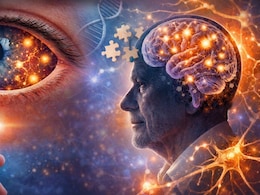 याददाश्त कमजोर होने का शुरुआती संकेत दे सकती हैं आंखें, बस करवाना होगा एक सिंपल टेस्ट, नई स्टडी में बड़ा खुलासा