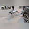 Not Galgotia University's 'Orion' But Param, 'India's Most Powerful Indigenous Robot Dog', Goes Viral Amid AI Summit Row