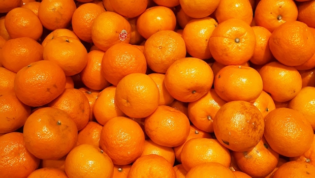 Latest and Breaking News on NDTV Latest and Breaking News on NDTV