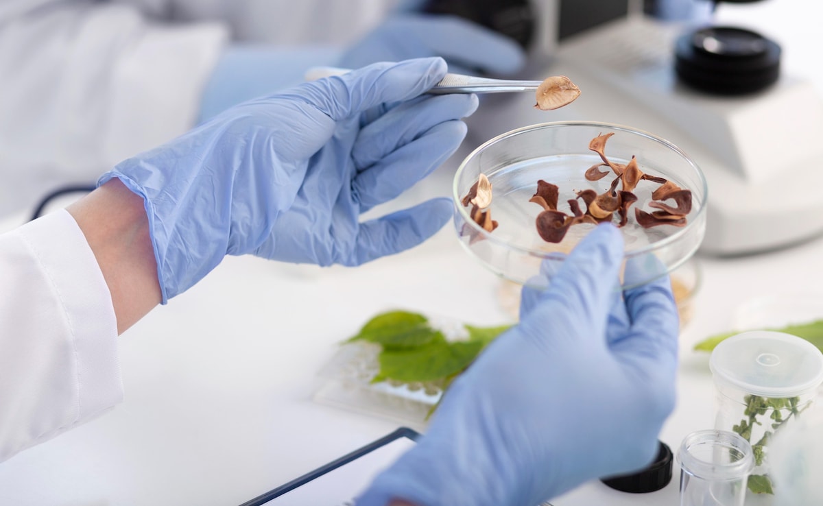 80 Fall Ill After Wedding Feast In Madhya Pradesh Village; Probe Underway