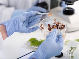 Delhi Government Steps Up On Food Sample Testing For Paneer, Khoya As Holi Nears