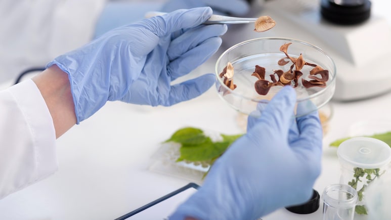 Delhi Government Steps Up On Food Sample Testing For Paneer, Khoya As Holi Nears