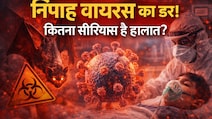 भारत में Nipah Virus अलर्ट: कितने एक्टिव केस, इलाज कैसे हो रहा है और पड़ोसी देशों में क्या हाल?