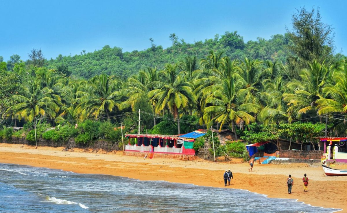 Latest and Breaking News on NDTV