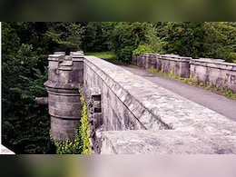 Dogs Suicide Bridge: इस रहस्यमयी पुल से कूदकर आत्महत्या कर लेते थे कुत्ते, कहानी सुनकर चौंक जाएंगे