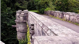 Dogs Suicide Bridge: इस रहस्यमयी पुल से कूदकर आत्महत्या कर लेते थे कुत्ते, कहानी सुनकर चौंक जाएंगे