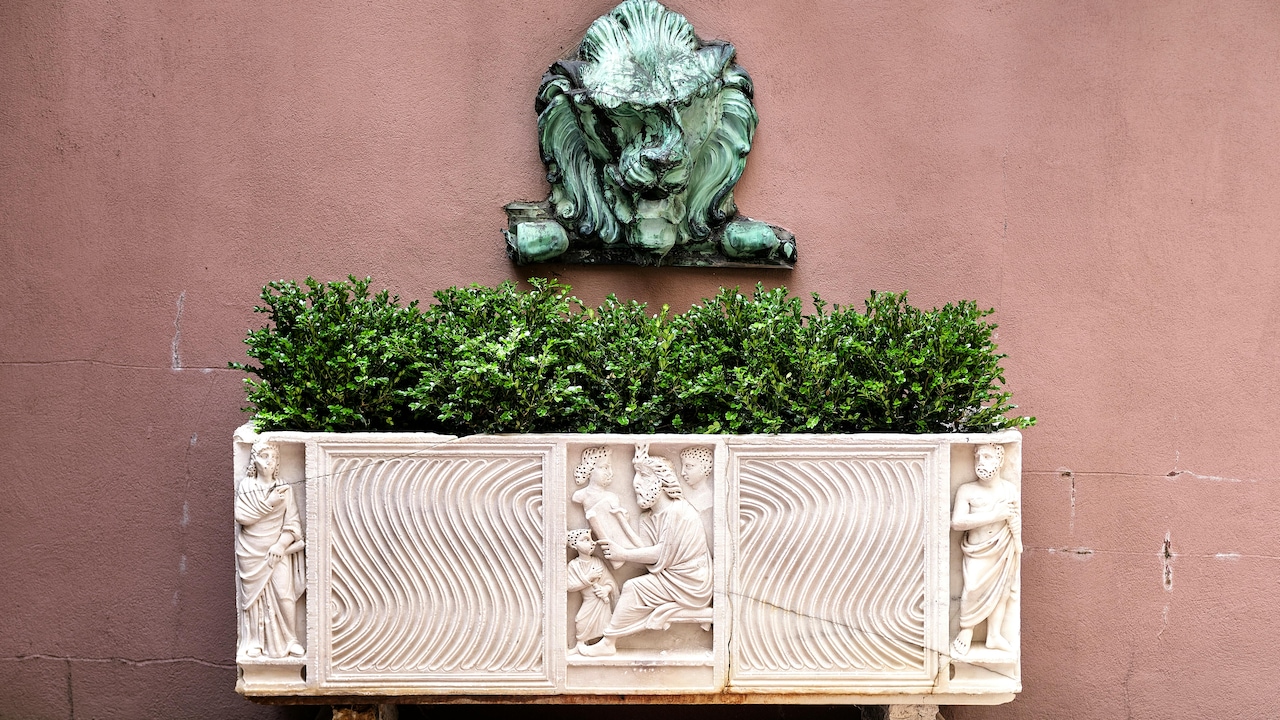 Add foliage to your home with these self-watering planters 