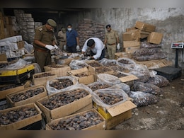 होली‑रमजान पर जहर बेचने की तैयारी! 50 लाख का सड़ा खजूर बरामद, 9 सैंपल लैब भेजे गए