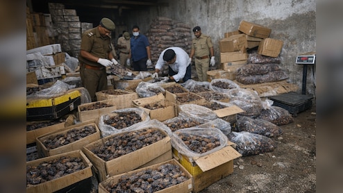 होली‑रमजान पर जहर बेचने की तैयारी! 50 लाख का सड़ा खजूर बरामद, 9 सैंपल लैब भेजे गए