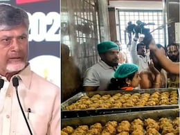 Tirupati Laddoo Row Escalates With 'Ghee Mixed With Chemicals' Claim