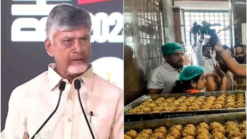 Tirupati Laddoo Row Escalates With 'Ghee Mixed With Chemicals' Claim