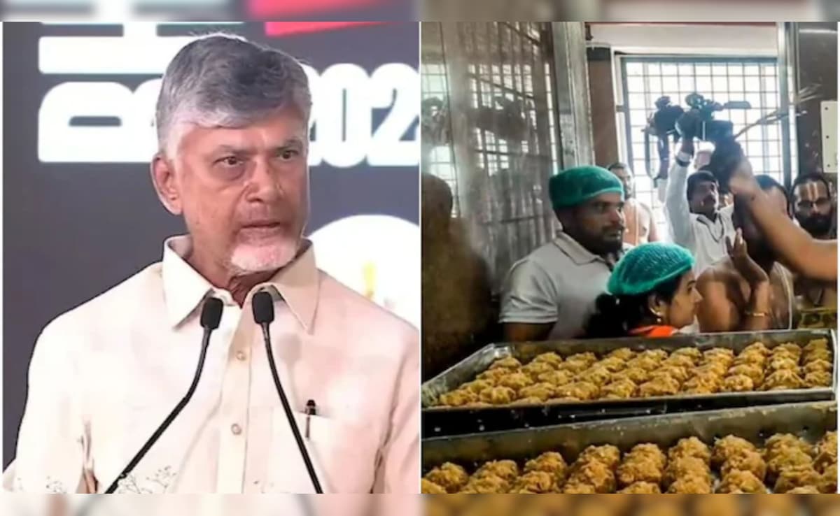 The Art of Baking: From Classic Bread to Artisan Pastries