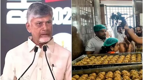 "Mahapapam, Organised Conspiracy": Chandrababu Naidu on Tirupati Laddu Adulteration