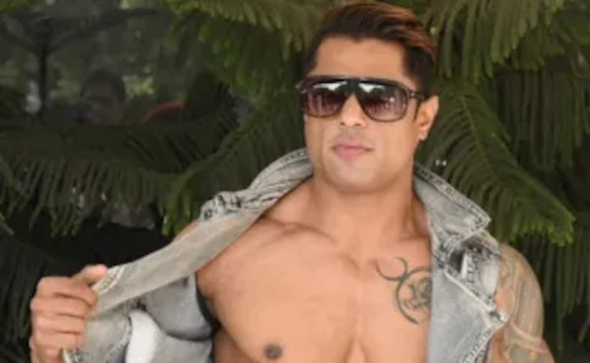 MTV Splitsvilla 7's Mayank Pawar Dies At 37