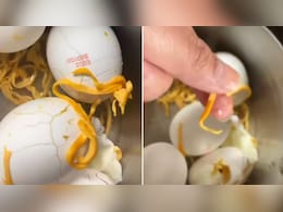 क्या बाजार में बिक रहे हैं नकली अंडे? ऑनलाइन मंगाए अंडों पर बवाल...अंदर से निकली पीली-पीली रस्सी जैसी चीज