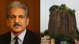Anand Mahindra's Latest Post Sparks Interest In Mumbai's Hidden Gem, Gilbert Hill