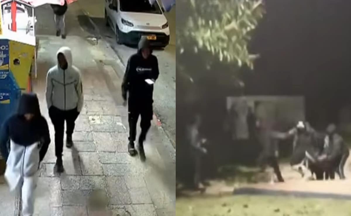 The Art of Baking: From Classic Bread to Artisan Pastries