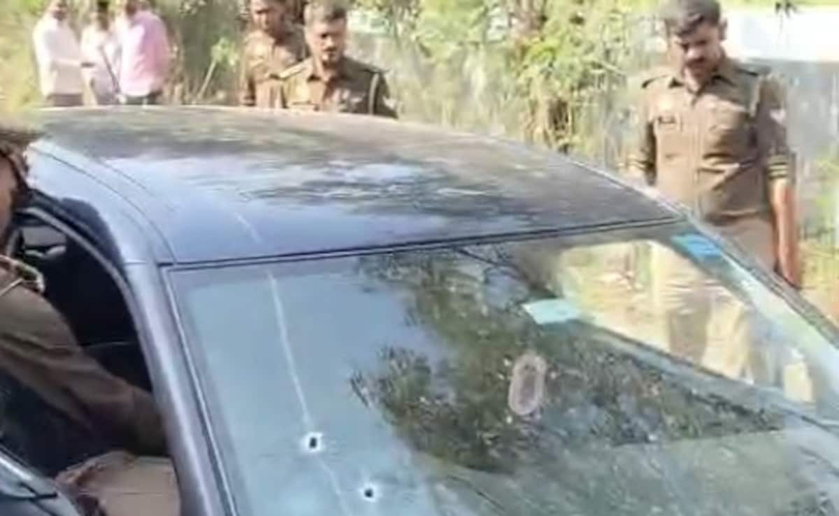 The Art of Baking: From Classic Bread to Artisan Pastries