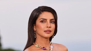 Oscars 2026 Live: ऑस्कर पुरस्कारों में भारत की दावेदारी कौन करेगा पेश, प्रियंका चोपड़ा भी आएंगी नजर