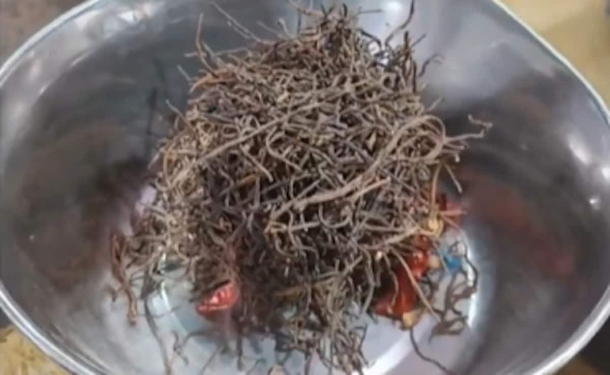 रोजाना संकरी का सेवन करने से कौन सी बीमारी दूर होती है? एक्सपर्ट ने बताया किन लोगों को करना चाहिए इसका सेवन