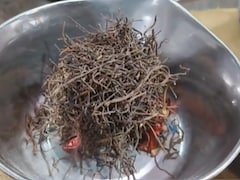 रोजाना संकरी का सेवन करने से कौन सी बीमारी दूर होती है? एक्सपर्ट ने बताया किन लोगों को करना चाहिए इसका सेवन