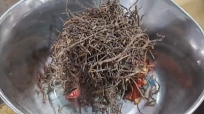 रोजाना संकरी का सेवन करने से कौन सी बीमारी दूर होती है? एक्सपर्ट ने बताया किन लोगों को करना चाहिए इसका सेवन