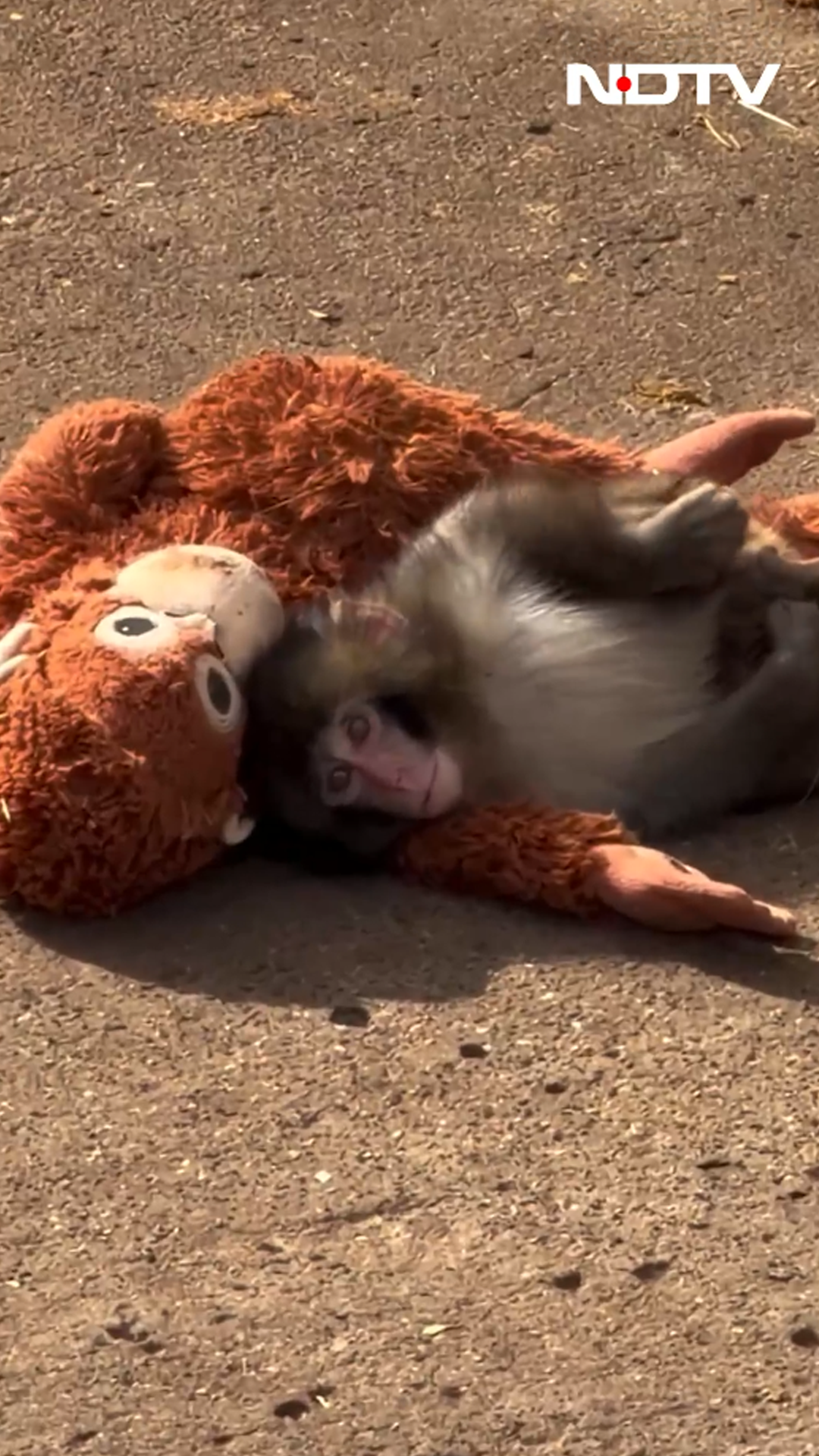 What Punch Taught Us at Tech360 about Mental Health!